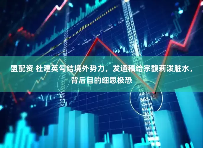 盟配资 杜建英勾结境外势力，发通稿给宗馥莉泼脏水，背后目的细思极恐