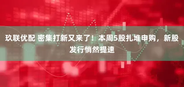 玖联优配 密集打新又来了！本周5股扎堆申购，新股发行悄然提速