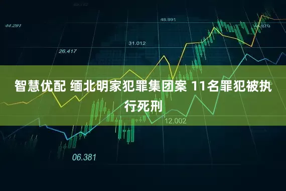智慧优配 缅北明家犯罪集团案 11名罪犯被执行死刑
