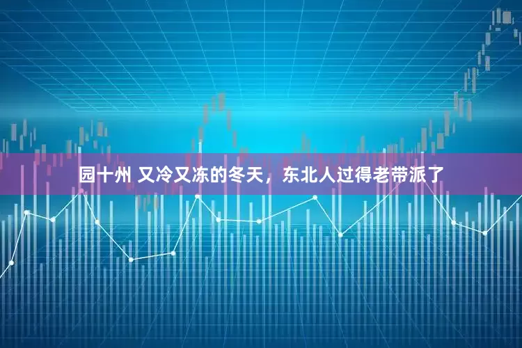 园十州 又冷又冻的冬天，东北人过得老带派了
